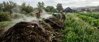 Farmers working with heavy machinery to spread organic compost on agricultural field for sustainable farming and soil enrichment practices.