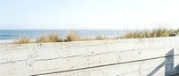 Wooden beach fence with coastal dune grass and ocean view in background, suitable for travel, vacation, and coastal design projects.