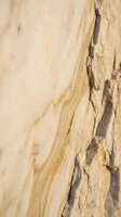Natural weathered wood texture with peeling bark and organic grain patterns for rustic design projects and natural material backgrounds.