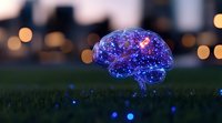 Glowing translucent brain with neural connections illuminated in purple and blue tones against grass field at dusk, bokeh lights in background creating magical atmosphere.