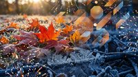 Autumn leaves covered with morning frost and sparkling water droplets in golden sunlight creating magical seasonal transition from fall to winter.