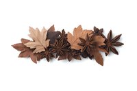 Aromatic star anise pods arranged with brown autumn maple leaves on white background, creating seasonal spice and nature composition for culinary designs.
