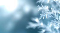 Delicate white frost crystals on plant branches against blurred winter background in soft blue tones create serene seasonal atmosphere.