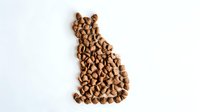 Dry cat food kibble arranged in shape of sitting cat silhouette on white background, perfect for pet food advertising.