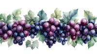 Seamless border pattern with watercolor grape clusters and green leaves on white background. Horizontal repeating design for wine labels and packaging.