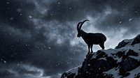 Mountain goat silhouette standing on rocky cliff against dramatic starry night sky with swirling clouds and cosmic atmosphere for wildlife photography.