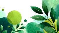 Watercolor green botanical composition with abstract shapes, leaves, and splashes on white background for nature-inspired designs.