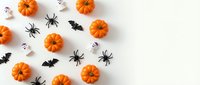 Halloween flat lay with orange pumpkins, black spiders, bats and ghost decorations on white background for autumn holiday celebration and party planning.
