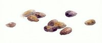 Scattered polished amethyst and citrine gemstones isolated on white background, suitable for jewelry design, wellness product packaging, and crystal healing content.