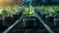 Young green plant seedling in pot with glowing network connection lines above, representing growth, biotechnology and agricultural innovation in modern farming.