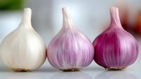 Three fresh garlic bulbs in white and purple varieties arranged in row showing natural color gradient from pale to deep violet hues for cooking ingredients.