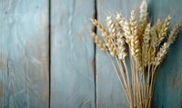 Golden wheat ears against rustic turquoise wooden background with soft focus and copy space. Natural agricultural harvest concept for bakery design.