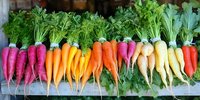 Fresh rainbow carrots and radishes arranged in colorful gradient row from pink to orange to white, with green tops attached, on light surface. Farm market produce.