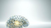 Glowing human brain with neural pathways and synaptic connections illuminated in gold and blue tones against white background, suitable for neuroscience, medical, and educational design projects.