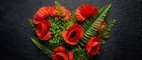 Red poppy flowers arranged in heart shape with green ferns on dark slate background for romantic design, wedding decoration, love concept, floral arrangement.
