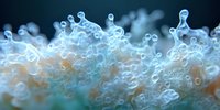 Microscopic view of luminous blue bacterial colonies growing in organic matter with ethereal glowing formations and bubble-like structures in soft focus.