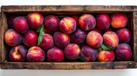 Fresh ripe nectarines with water drops and green leaves in rustic wooden box, top view. Farm harvest of sweet summer fruits for healthy eating.