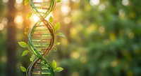 DNA double helix structure intertwined with green leaves and vines against blurred natural background with warm sunlight bokeh effects for biotechnology concepts.