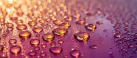 Water droplets on purple and gold gradient surface with bokeh lighting effect, suitable for backgrounds and design projects.