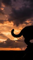 Majestic elephant silhouette against dramatic sunset sky with storm clouds and lightning. Wildlife photography capturing nature's power and beauty in golden hour light.