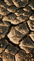 Cracked and parched earth with deep fissures and tan soil texture, depicting severe drought conditions and environmental degradation for climate change awareness.