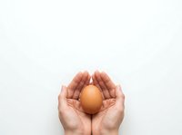 Hands holding brown egg on white background, isolated for design use, healthcare, nutrition, and wellness concepts.