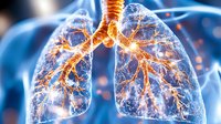 Glowing translucent human lungs with detailed bronchial tree structure illuminated in orange against blue background showing respiratory system anatomy for medical education.