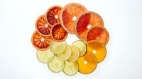 Fresh citrus fruit slices arranged in colorful circle on white background. Orange, grapefruit, lime and lemon rounds create vibrant pattern for healthy eating concepts.
