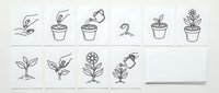 Plant growth stages from seed to flowering in minimalist line art style showing gardening process and botanical development cycle for educational materials.