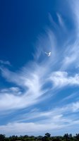 White seagull soaring against dramatic cirrus clouds and deep blue sky, wings spread in graceful flight above coastal landscape.