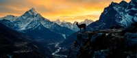 Lone hiker silhouette standing on rocky mountain peak during golden sunrise over dramatic alpine landscape with snow-capped peaks and valley below.