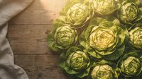 Fresh green lettuce heads arranged on rustic wooden table with natural linen cloth for healthy cooking and farm-to-table dining concepts.