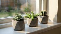 Small succulent plants in modern geometric concrete planters arranged on bright windowsill for home decor and indoor gardening design projects.
