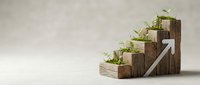 Wooden blocks arranged as ascending steps with green plants sprouting from each level, symbolizing sustainable growth and eco-friendly business development.