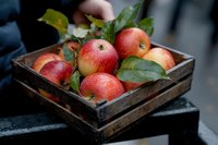 Fresh red apples with green leaves in rustic wooden box, dark moody background. Natural organic harvest composition for healthy eating and farm market concept.