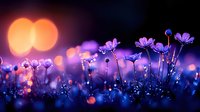 Delicate cosmos flowers silhouetted against blurred bokeh lights at dusk, creating dreamy purple and orange atmosphere with soft focus wildflowers in meadow.
