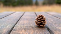 Brown pine cone on rustic wooden planks with soft bokeh nature background, shallow depth of field creates dreamy autumn atmosphere.