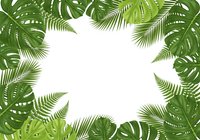 Tropical green leaves frame with white copy space, featuring monstera and palm foliage for summer banners, invitations, and nature designs.