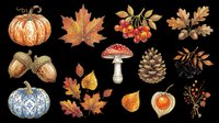 Autumn harvest collection with pumpkins, maple leaves, acorns, rowan berries, mushroom, pinecone, and seasonal foliage isolated on transparent background. Ready for t-shirts, stickers, clipart, and print-on-demand designs.