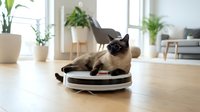 Siamese cat lying on modern robotic vacuum cleaner in bright contemporary living room with plants and wooden floors for smart home automation concepts.