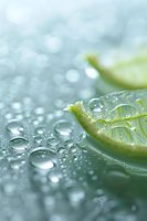Fresh lime slice with pure water droplets on reflective surface against soft turquoise background, creating refreshing and pure mood for beverage advertising.