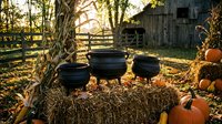 Rustic autumn farm scene with black cauldrons on hay bales, corn stalks, pumpkins and wooden fence at golden sunset for seasonal harvest decorating.