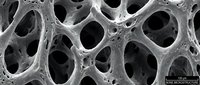 Macro view of porous foam structure with interconnected cellular cavities and textured surface details.
