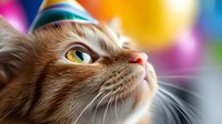 Orange tabby cat wearing colorful party hat looking up with bright eyes against vibrant birthday celebration background for pet party designs.