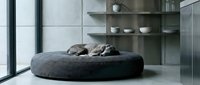 Relaxed dog sleeping on a round gray pet bed in a modern minimalist interior with concrete walls and stylish shelving.