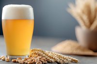 Fresh cold beer glass with frothy head alongside golden wheat ears and scattered peanuts on rustic wooden surface against dark background.