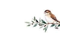 Small brown sparrow perched on olive branch with berries against white background. Watercolor style bird illustration for nature designs and decor.