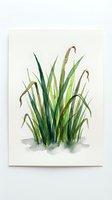 Watercolor grass clump with long green blades and brown tips on white paper, botanical illustration for nature art and home decor projects.