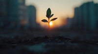 Young green plant seedling growing from soil against blurred urban cityscape at golden hour sunrise, symbolizing hope, growth and environmental renewal.