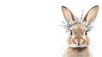 Adorable brown bunny rabbit wearing spring flower crown with daisies and blue forget-me-nots on white background, isolated for creative design projects.